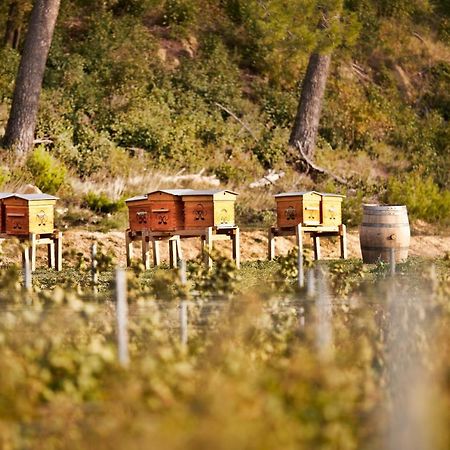 Chambre D'Hotes Chateau Gigognan Sorgues Esterno foto