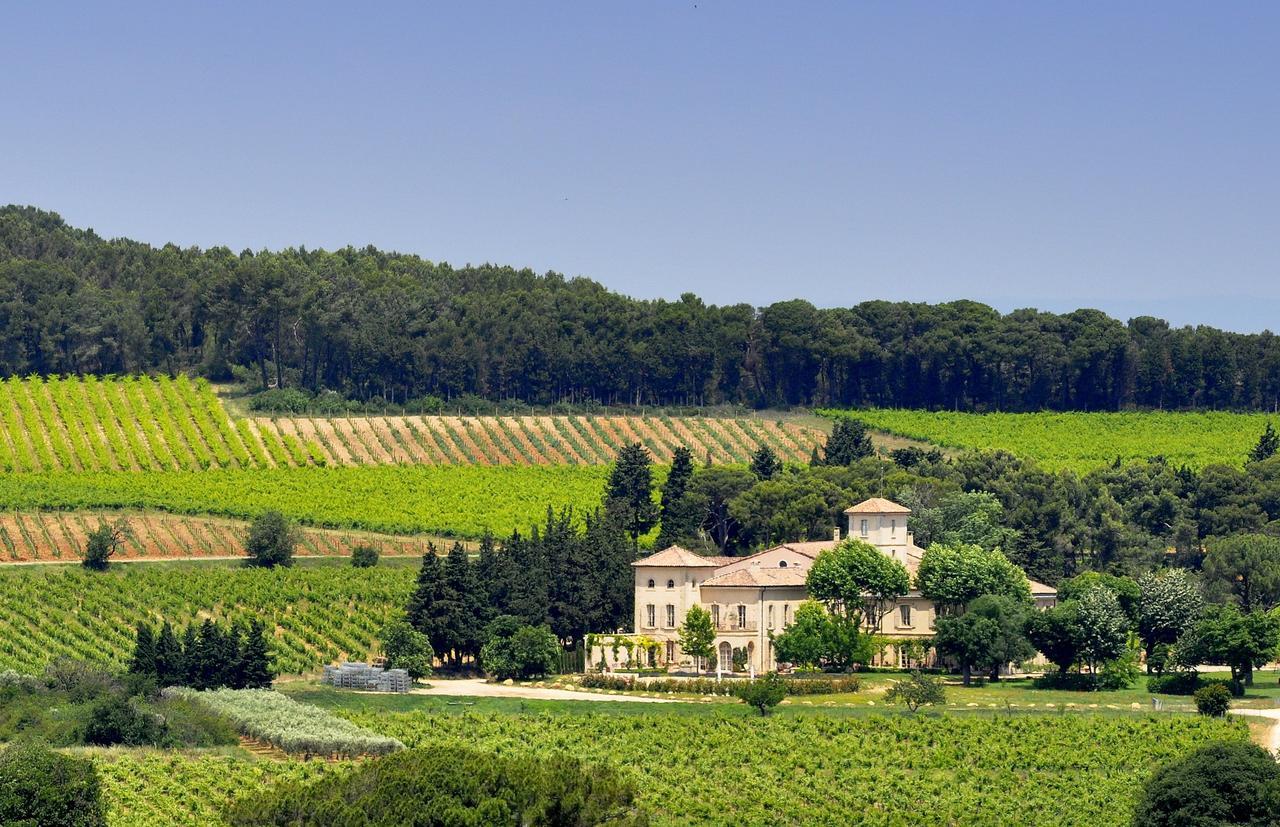 Chambre D'Hotes Chateau Gigognan Bed and Breakfast Sorgues Esterno foto